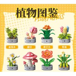 Femibox S5443 Xếp hình lắp ráp ghép mô hình 12 loại hình minh họa thực vật