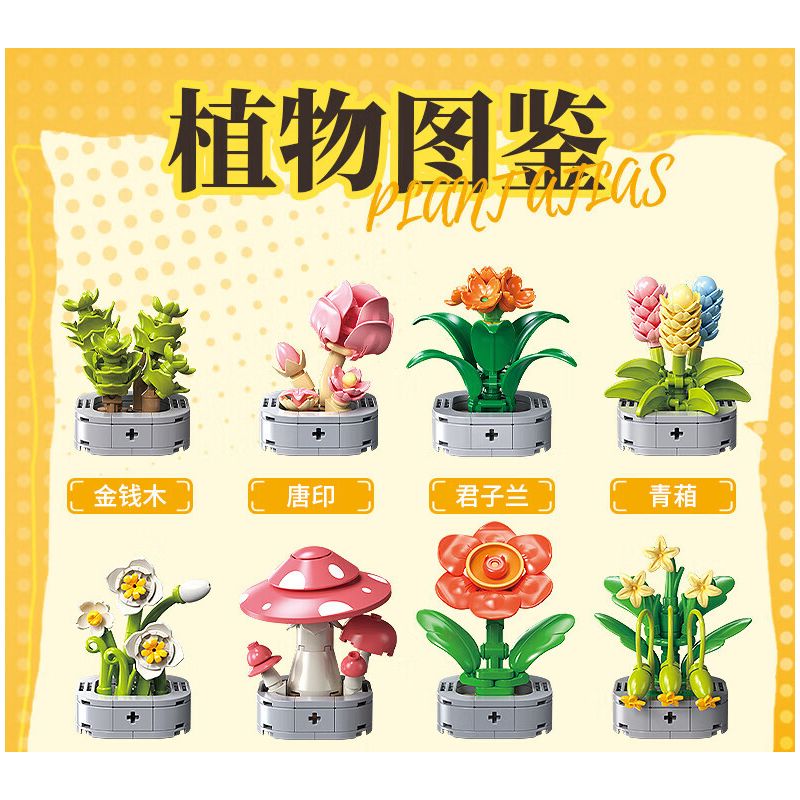 Femibox S5443 Xếp hình lắp ráp ghép mô hình 12 loại hình minh họa thực vật