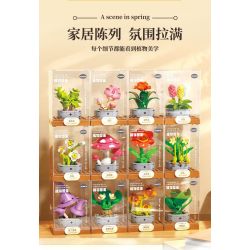 Femibox S5443 Xếp hình lắp ráp ghép mô hình 12 loại hình minh họa thực vật