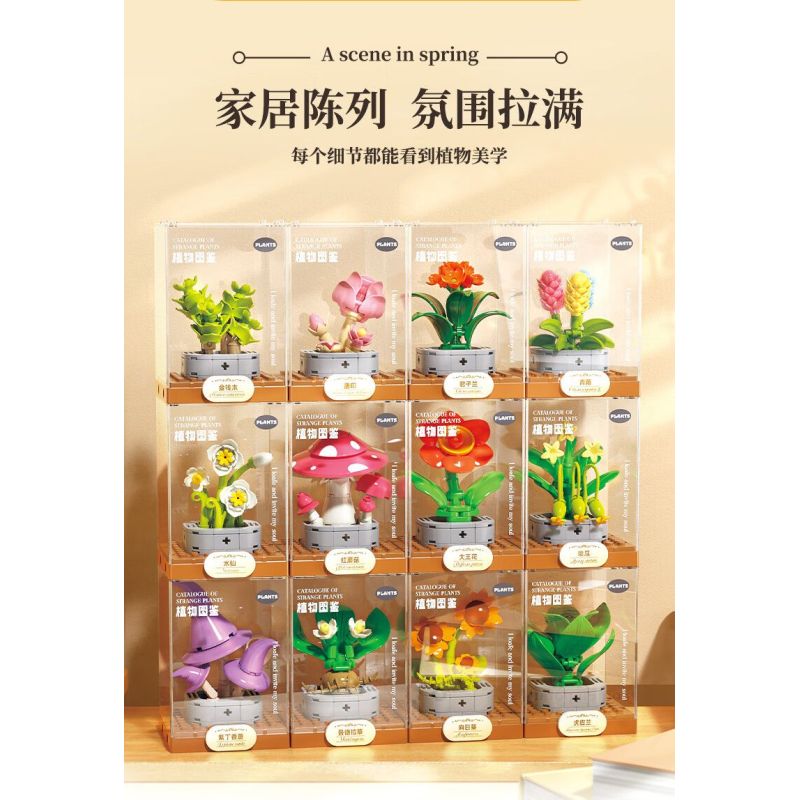 Femibox S5443 Xếp hình lắp ráp ghép mô hình 12 loại hình minh họa thực vật