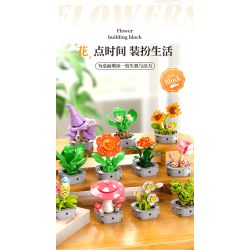 Femibox S5443 Xếp hình lắp ráp ghép mô hình 12 loại hình minh họa thực vật