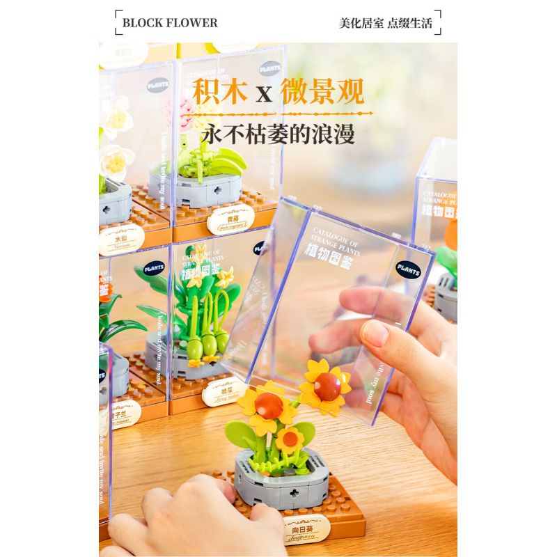 Femibox S5443 Xếp hình lắp ráp ghép mô hình 12 loại hình minh họa thực vật