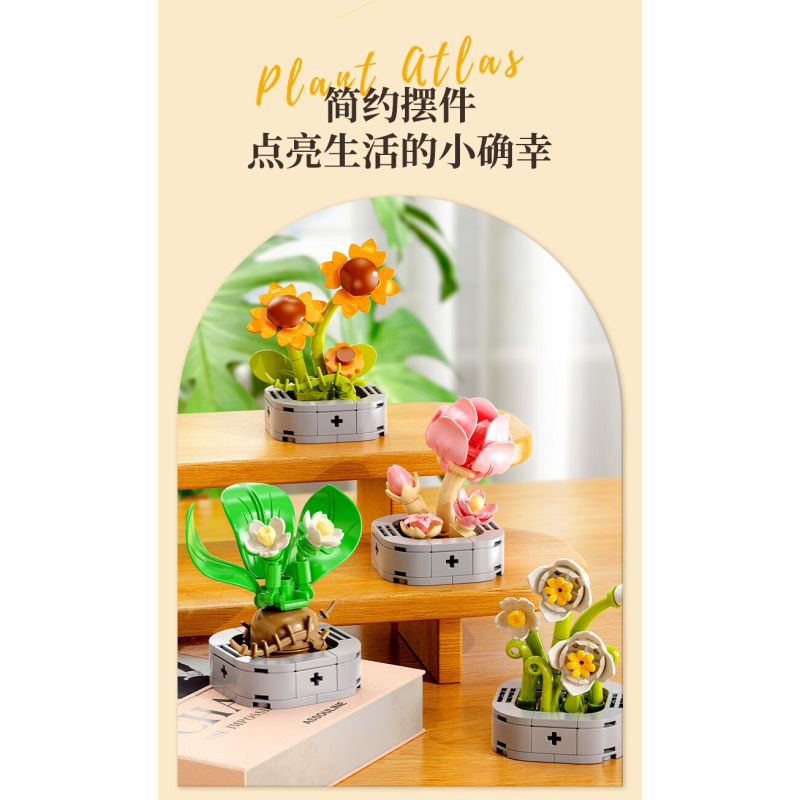 Femibox S5443 Xếp hình lắp ráp ghép mô hình 12 loại hình minh họa thực vật