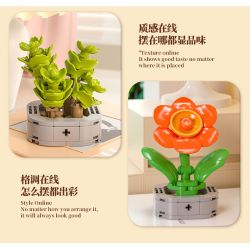 Femibox S5443 Xếp hình lắp ráp ghép mô hình 12 loại hình minh họa thực vật