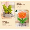 Femibox S5443 Xếp hình lắp ráp ghép mô hình 12 loại hình minh họa thực vật