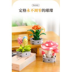 Femibox S5443 Xếp hình lắp ráp ghép mô hình 12 loại hình minh họa thực vật