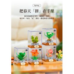 Femibox S5443 Xếp hình lắp ráp ghép mô hình 12 loại hình minh họa thực vật