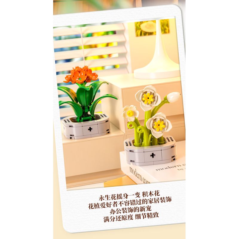 Femibox S5443 Xếp hình lắp ráp ghép mô hình 12 loại hình minh họa thực vật