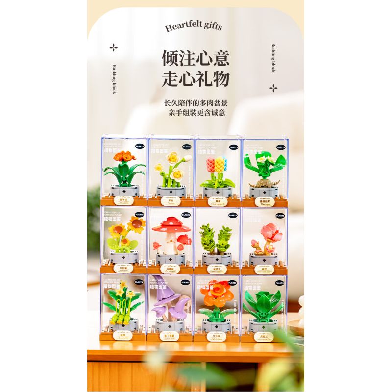 Femibox S5443 Xếp hình lắp ráp ghép mô hình 12 loại hình minh họa thực vật