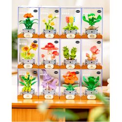 Femibox S5443 Xếp hình lắp ráp ghép mô hình 12 loại hình minh họa thực vật