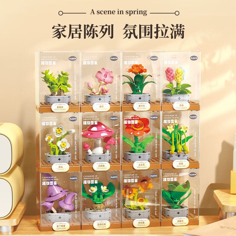 Femibox S5443 Xếp hình lắp ráp ghép mô hình 12 loại hình minh họa thực vật