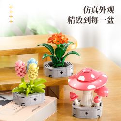 Femibox S5443 Xếp hình lắp ráp ghép mô hình 12 loại hình minh họa thực vật