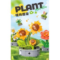 Femibox S5443 Xếp hình lắp ráp ghép mô hình 12 loại hình minh họa thực vật