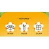 Femibox S5443 Xếp hình lắp ráp ghép mô hình 12 loại hình minh họa thực vật