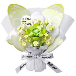 Gekkosha 802053 Xếp hình lắp ráp ghép mô hình Ngôn ngữ bướm: Phù thủy xứ Oz