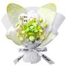 Gekkosha 802053 Xếp hình lắp ráp ghép mô hình Ngôn ngữ bướm: Phù thủy xứ Oz