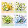Gekkosha 802053 Xếp hình lắp ráp ghép mô hình Ngôn ngữ bướm: Phù thủy xứ Oz