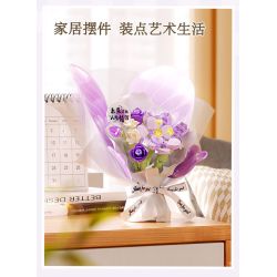 Gekkosha 802053 Xếp hình lắp ráp ghép mô hình Ngôn ngữ bướm: Phù thủy xứ Oz