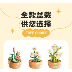 Femibox S5449 Xếp hình lắp ráp ghép mô hình 9 cảnh hoa sáng tạo của Trung Quốc: hoa sen, hoa cúc, hoa thủy tiên, cây thông chào đón, hoa hướng dương, quất, hoa hồng đỏ, hoa mùa đông may mắn, hoa lan hồ điệp