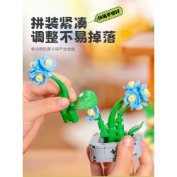 Femibox S5308 Xếp hình lắp ráp ghép mô hình bộ sưu tập thực vật