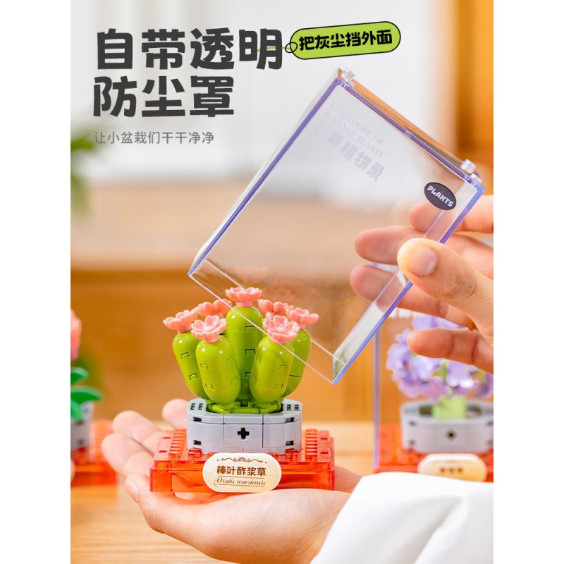 Femibox S5308 Xếp hình lắp ráp ghép mô hình bộ sưu tập thực vật