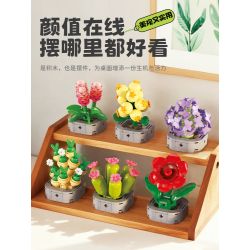 Femibox S5308 Xếp hình lắp ráp ghép mô hình bộ sưu tập thực vật