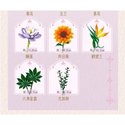 PanlosBrick 655073 Panlos Brick 655073 THU HẢI ĐƯỜNG bộ đồ chơi xếp lắp ráp ghép mô hình Creator Sáng Tạo 69 khối