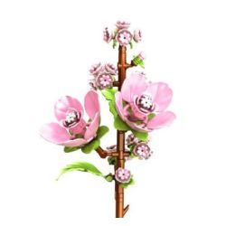 PanlosBrick 655077 Panlos Brick 655077 HOA ANH ĐÀO bộ đồ chơi xếp lắp ráp ghép mô hình Creator Sáng Tạo 137 khối