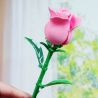 WOMA C2021 2021 CHUYỆN HOA BÓNG NỔI 8 KIỂU bộ đồ chơi xếp lắp ráp ghép mô hình Creator Sáng Tạo