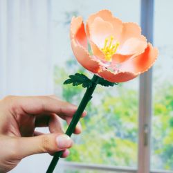 WOMA C2021 2021 CHUYỆN HOA BÓNG NỔI 8 KIỂU bộ đồ chơi xếp lắp ráp ghép mô hình Creator Sáng Tạo