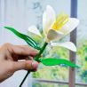 WOMA C2021 2021 CHUYỆN HOA BÓNG NỔI 8 KIỂU bộ đồ chơi xếp lắp ráp ghép mô hình Creator Sáng Tạo
