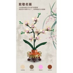 KAIYU KEEYEE WORLD K96235 96235 TRANH TREO HOA LAN bộ đồ chơi xếp lắp ráp ghép mô hình Arts & Crafts PHOTO FRAME 531 khối