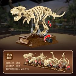 JIESTAR 57035 BẢO TÀNG KHỦNG LONG TYRANNOSAURUS REX bộ đồ chơi xếp lắp ráp ghép mô hình DINOSAUR MUSSUM 289 khối