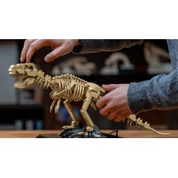 NIFELIZ NF10343 10343 HÓA THẠCH KHỦNG LONG BẠO CHÚA bộ đồ chơi xếp lắp ráp ghép mô hình Creator T.REX FOSSILS MODEL TOY Sáng Tạo 826 khối