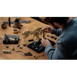 NIFELIZ NF10343 10343 HÓA THẠCH KHỦNG LONG BẠO CHÚA bộ đồ chơi xếp lắp ráp ghép mô hình Creator T.REX FOSSILS MODEL TOY Sáng Tạo 826 khối
