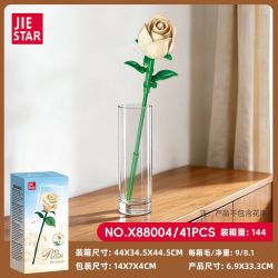 JIESTAR X88001 88001 X88002 88002 X88003 88003 X88004 88004 X88005 88005 X88006 88006 X88007 88007 X88008 88008 X88009 88009 X88010 88010 X88011 88011 BÓ HOA 11 KIỂU bộ đồ chơi xếp lắp ráp ghép mô hình Creator Sáng Tạo 434 khối