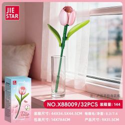 JIESTAR X88001 88001 X88002 88002 X88003 88003 X88004 88004 X88005 88005 X88006 88006 X88007 88007 X88008 88008 X88009 88009 X88010 88010 X88011 88011 BÓ HOA 11 KIỂU bộ đồ chơi xếp lắp ráp ghép mô hình Creator Sáng Tạo 434 khối