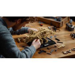 NIFELIZ NF10351 10351 HÓA THẠCH TRICERATOPS bộ đồ chơi xếp lắp ráp ghép mô hình Creator TRICERATOPS FOSSIL Sáng Tạo 798 khối