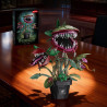 Kqiboxxr KQ401 Carnivorous Plant Xếp hình lắp ráp ghép mô hình Chậu Cây Piranha