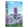 Fine bricks 26051 Flower Language Xếp hình lắp ráp ghép mô hình 9 loại hoa hướng dương ấm áp: clematis, purslane, kim ngân hoa, hoa oải hương, hoa nhài, Goldenrod, hoa trà, hoa sen, nghệ tây