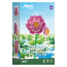 Fine bricks 26051 Flower Language Xếp hình lắp ráp ghép mô hình 9 loại hoa hướng dương ấm áp: clematis, purslane, kim ngân hoa, hoa oải hương, hoa nhài, Goldenrod, hoa trà, hoa sen, nghệ tây