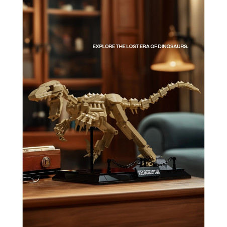 Nifeliz NF10357 Velociraptor Fossil Xếp hình lắp ráp ghép mô hình Hóa thạch Velociraptor