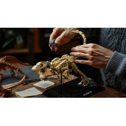 Nifeliz NF10357 Velociraptor Fossil Xếp hình lắp ráp ghép mô hình Hóa thạch Velociraptor