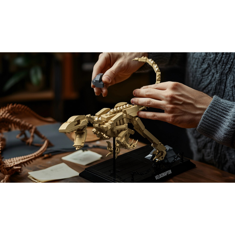 Nifeliz NF10357 Velociraptor Fossil Xếp hình lắp ráp ghép mô hình Hóa thạch Velociraptor