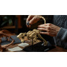 Nifeliz NF10357 Velociraptor Fossil Xếp hình lắp ráp ghép mô hình Hóa thạch Velociraptor