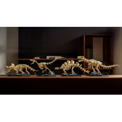 Nifeliz NF10357 Velociraptor Fossil Xếp hình lắp ráp ghép mô hình Hóa thạch Velociraptor