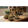 Nifeliz NF10360 Mini Dinosaur Fossils Xếp hình lắp ráp ghép mô hình Hóa thạch khủng long mini