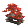 WISE BLOCK AULDEY HA393031 Seren：Maple Whisper Xếp hình lắp ráp ghép mô hình Seren: Maple Whisper