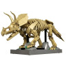 stack 09001 DINOSAUR FOSSILS TRICERATOPS Xếp hình lắp ráp ghép mô hình Hóa thạch khủng long Triceratops
