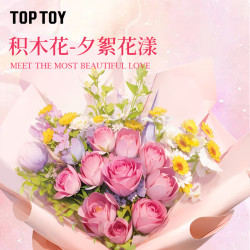 TOP TOY TC1127 Xếp hình lắp ráp ghép mô hình Bó hoa catkins buổi tối